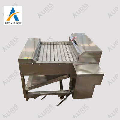 Filleting машина Slicer рыб резца обрабатывая и режа замороженное Hairtail